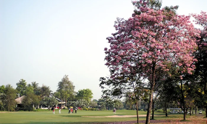 Krung Kavee Golf Course & Country Club Estate_07