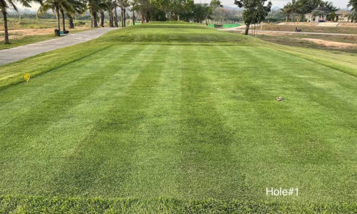 Parichat International Golf Links_03