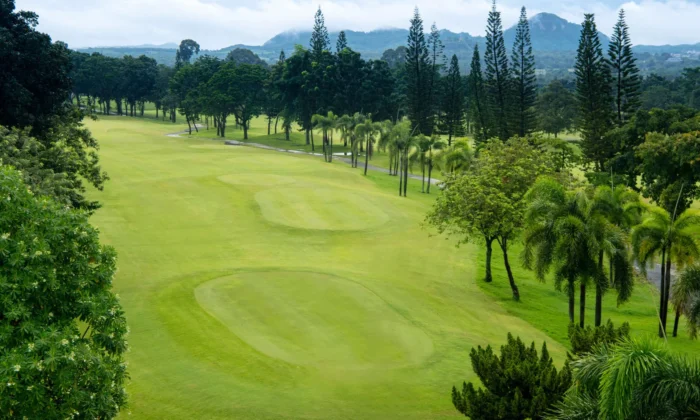 Phoenix Gold Golf & Country Club_08