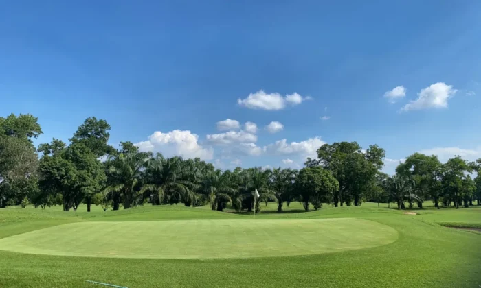 The Pine Golf Club_01