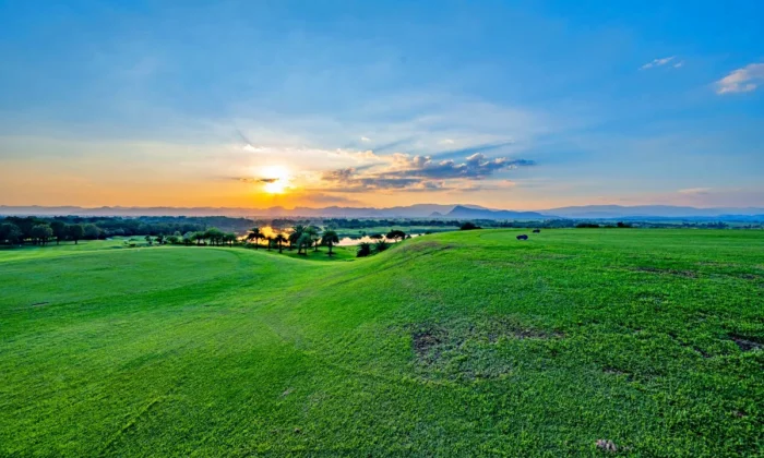 Grand Prix Golf Club_05